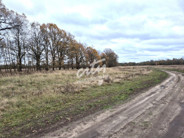 Działka Sprzedaż Łęgi 1